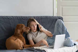 Woman lying on couch with her lovely Vizsla dog, talking on cellphone, remotely working on computer laptop, surfing web in living room. Lazy weekend at home.